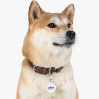Style Statement: WIL Pet Tag